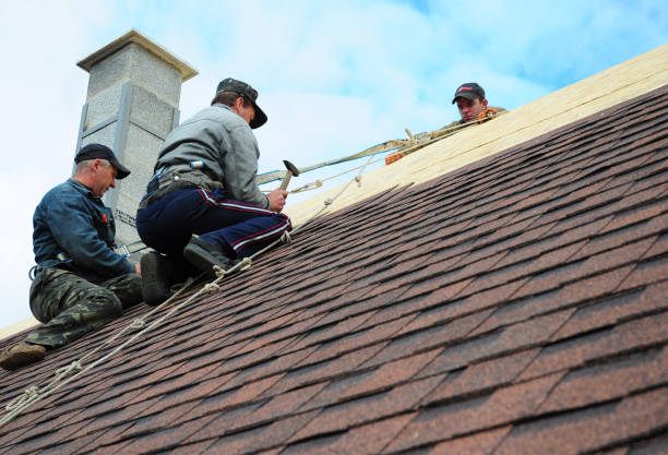 Best Gutter Installation and Roofing  in Little Cypress, TX